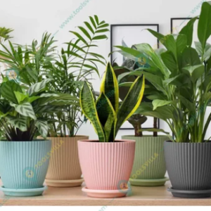🪴 6.5 inch modern plastic plant pot for indoor.