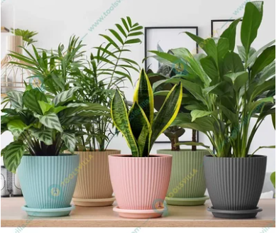 Plastic Plant Pots 6.5 Inch – Modern Ceramic-Look Planters for Indoor Plants (1 pic)
